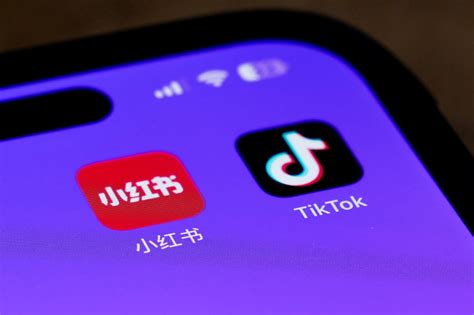 虎影库最新地址www找不到？试试这几个方法